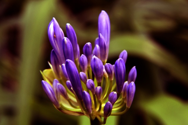 公牛擺脫拉文、國王產生蛻變 但三方交易最大贏家是馬刺.